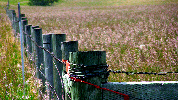 Fence