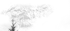 Mountain Fog 1