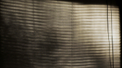 Shadow Blinds